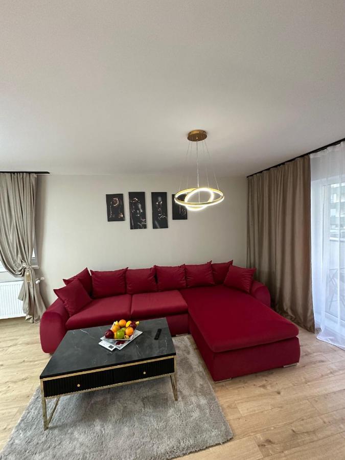 Coresi Luxury Apartments ブラショフ エクステリア 写真